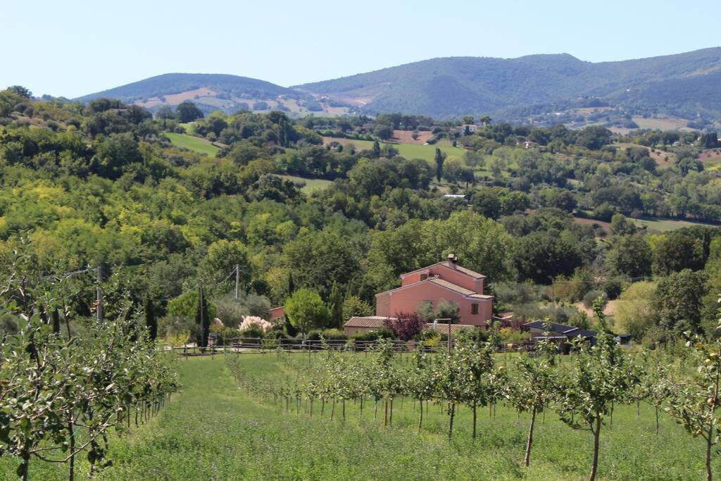 Casa Kikenda, Viaggio Nella Natura Treia Exterior foto