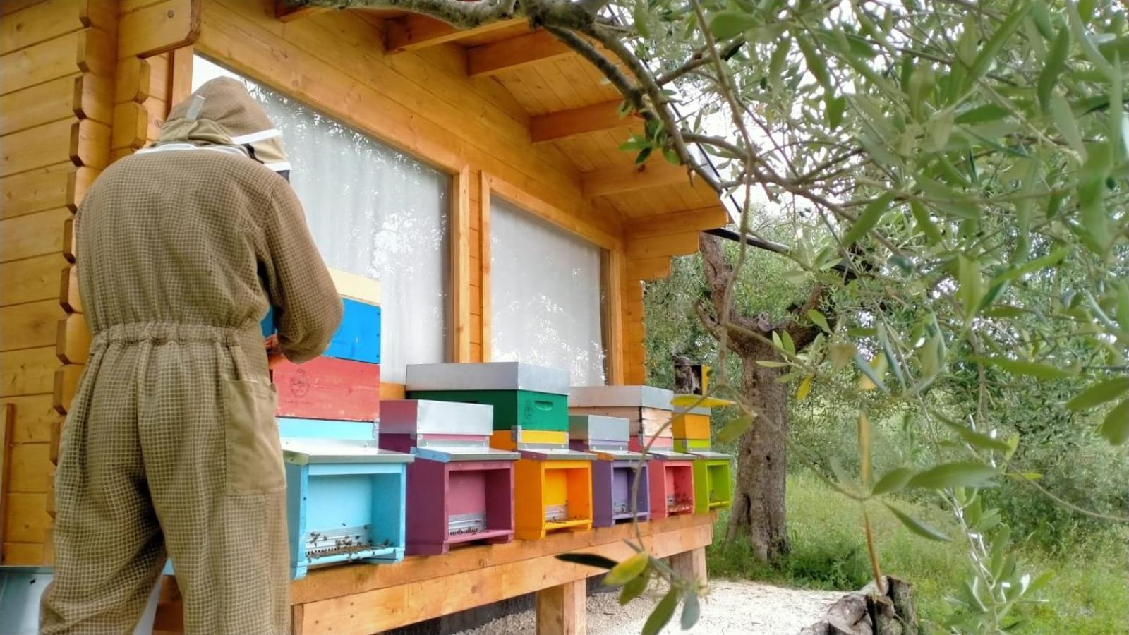 Casa Kikenda, Viaggio Nella Natura Treia Exterior foto